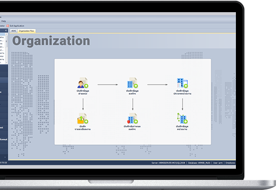 Organization,โปรแกรมเงินเดือน,โครงสร้างองค์กร